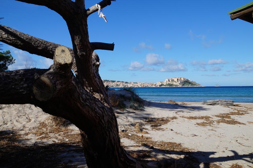 Camping Les Castors Calvi  Buitenkant foto