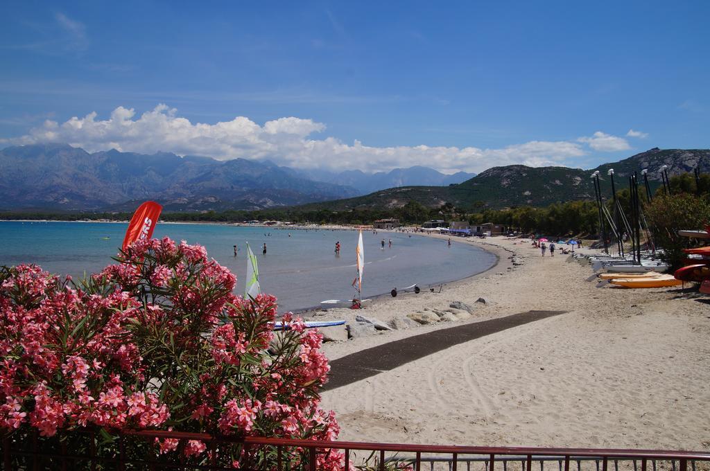 Camping Les Castors Calvi  Buitenkant foto